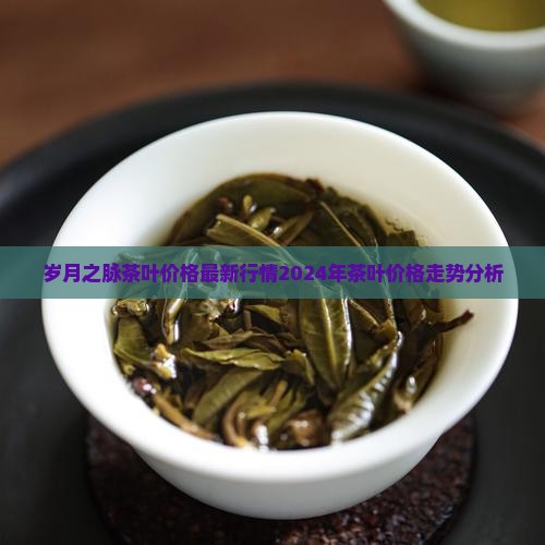 岁月之脉茶叶价格