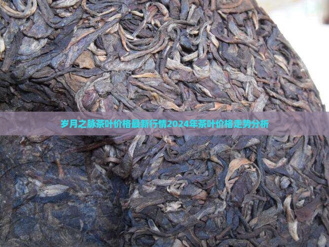 岁月之脉茶叶价格