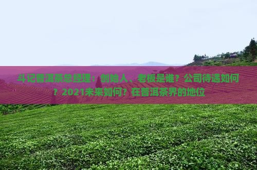 斗记普洱茶总经理