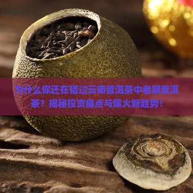 云南普洱茶中老期普洱茶