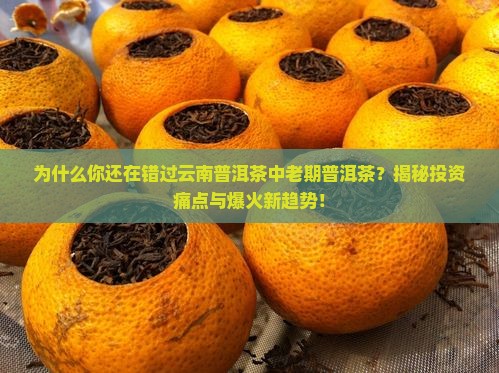云南普洱茶中老期普洱茶