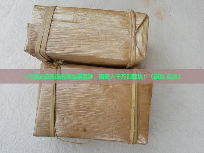 单丛茶有什么品种