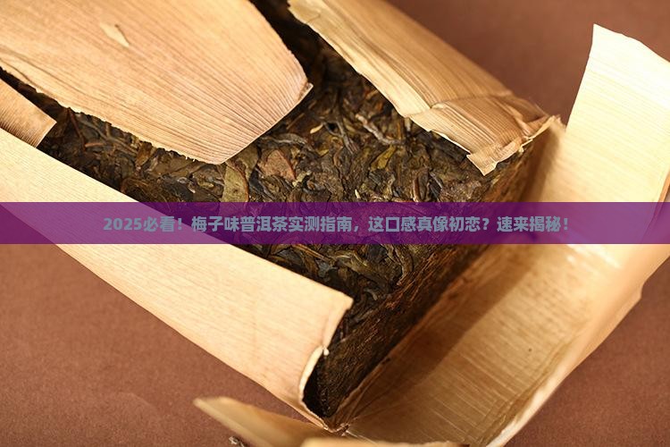 梅子味儿的普洱茶怎么样