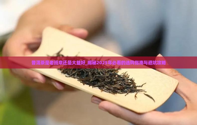 普洱茶是老班章还是大益好