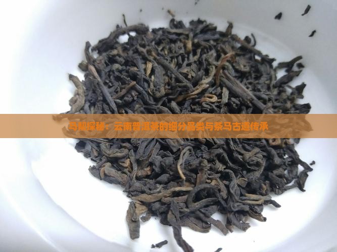 云南大马帮来普洱茶