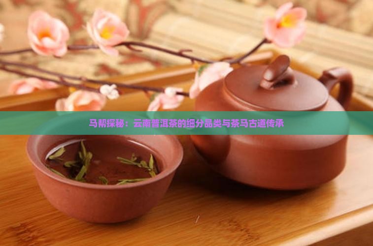 云南大马帮来普洱茶