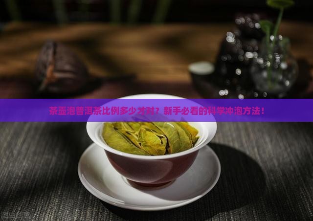 茶壶泡普洱茶比例