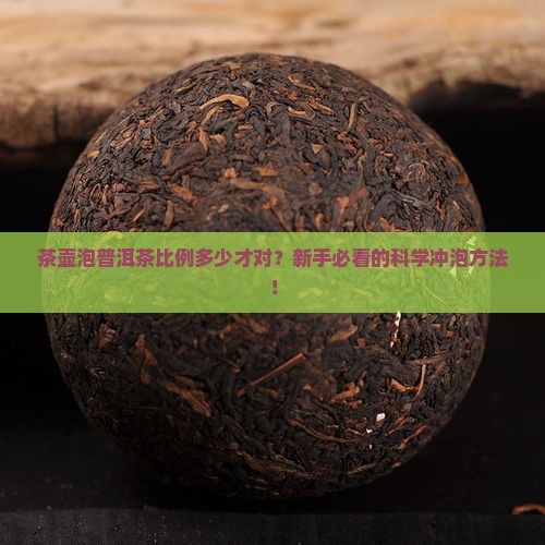 茶壶泡普洱茶比例