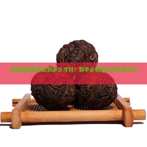 茶壶泡普洱茶比例
