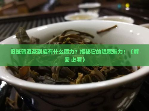 旧笼普洱茶特点介绍