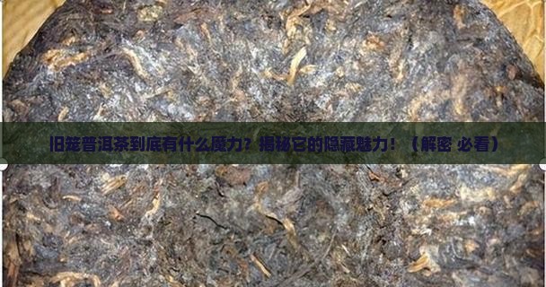 旧笼普洱茶特点介绍