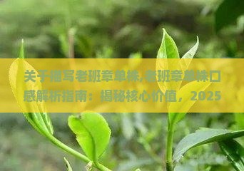 关于描写老班章单株