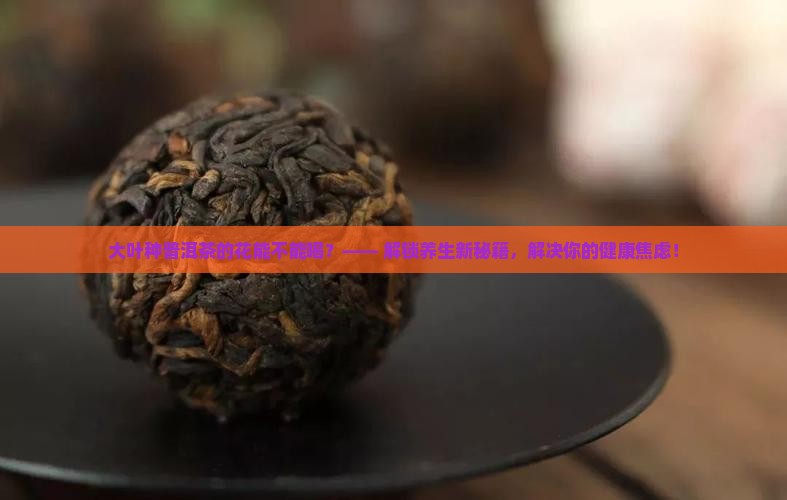 大叶种普洱茶的花能不能喝