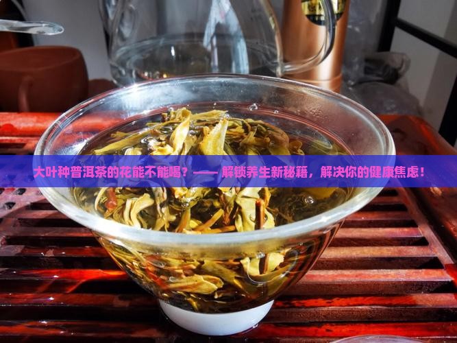 大叶种普洱茶的花能不能喝