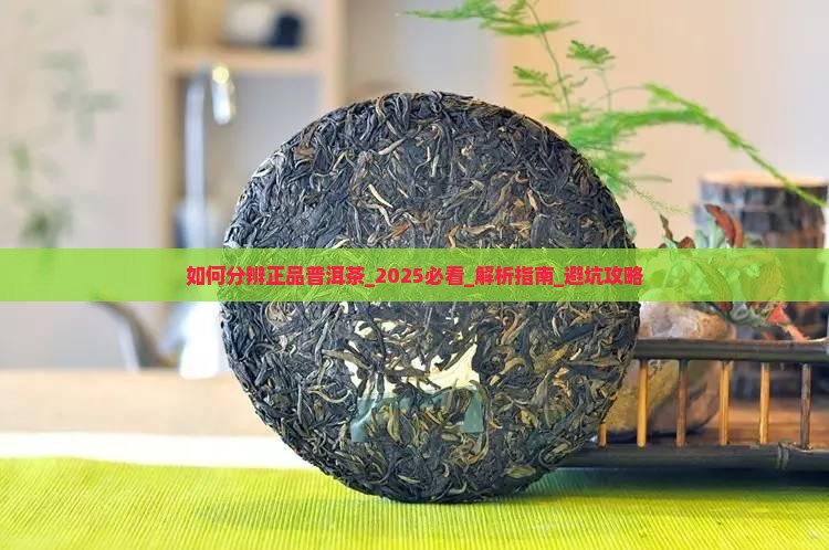 如何分辨正品普洱茶