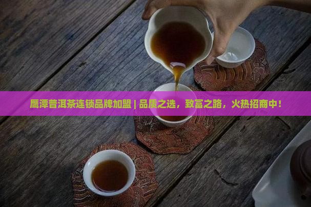 鹰潭普洱茶连锁品牌加盟