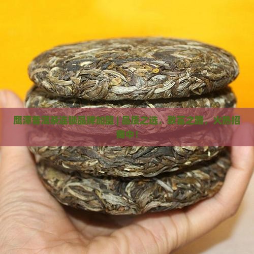 鹰潭普洱茶连锁品牌加盟