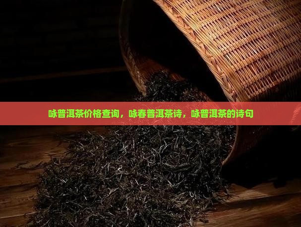 咏普洱茶价格查询