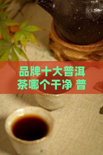 普洱茶哪家干净
