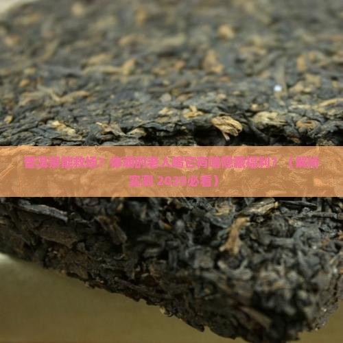 普洱茶适合体弱的老人吗 普洱茶适合体弱的老人吗