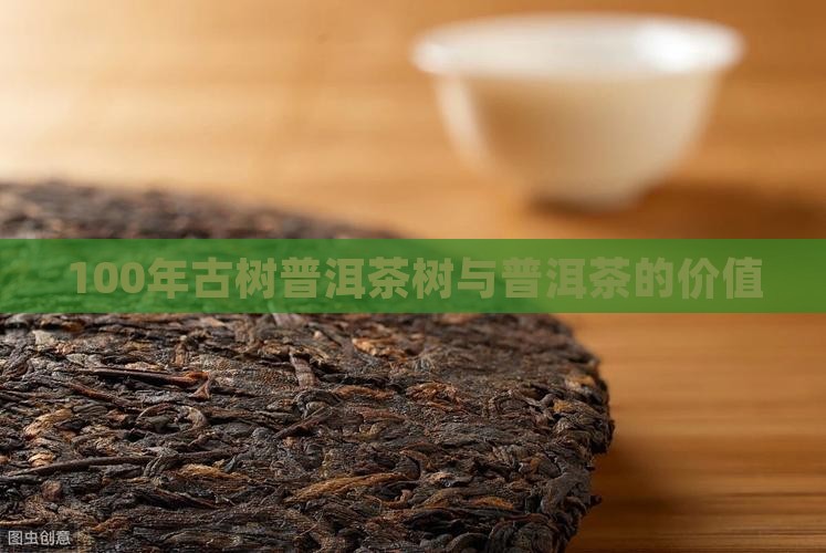 100年普洱茶树