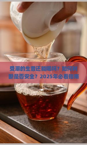 受潮的生普还能喝吗