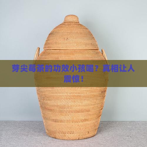芽尖莓茶的功效小孩喝