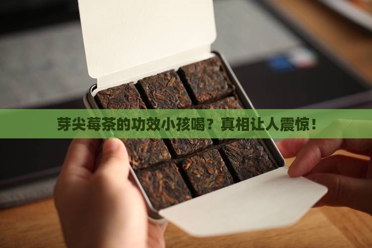 芽尖莓茶的功效小孩喝