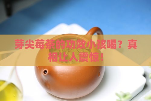 芽尖莓茶的功效小孩喝