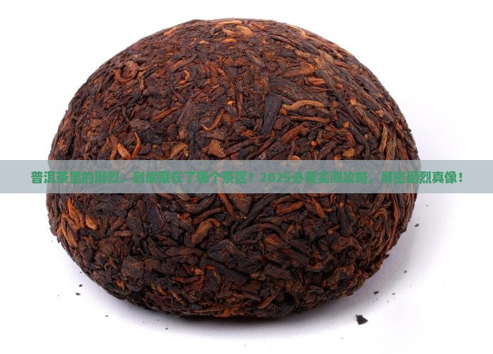 普洱茶中的磨烈是哪个茶区