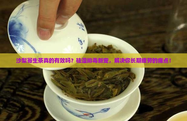 沙梨寄生茶功效与作用
