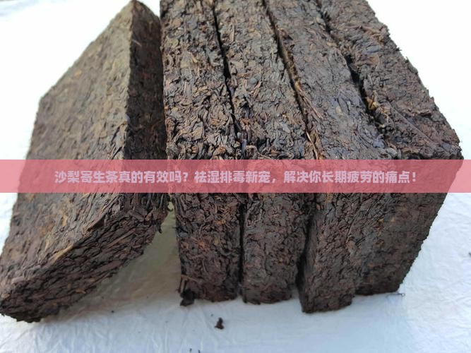 沙梨寄生茶功效与作用
