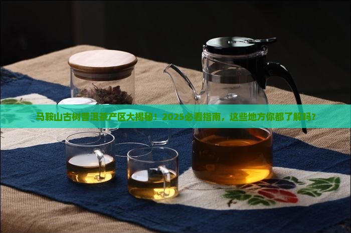 马鞍山古树普洱茶分几个产区