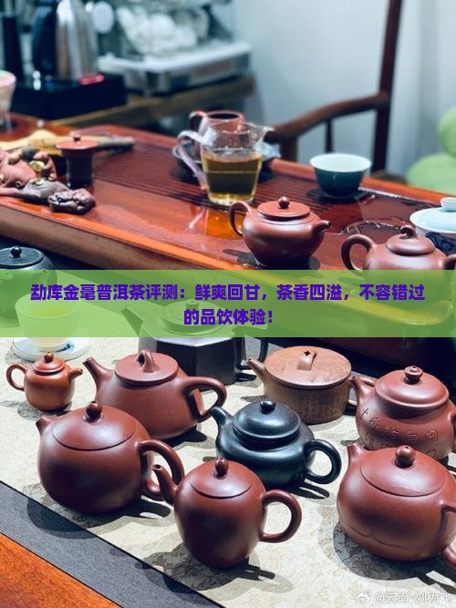 勐库金毫普洱茶评测