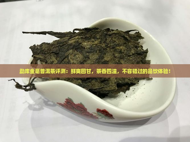 勐库金毫普洱茶评测