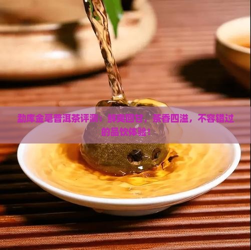 勐库金毫普洱茶评测