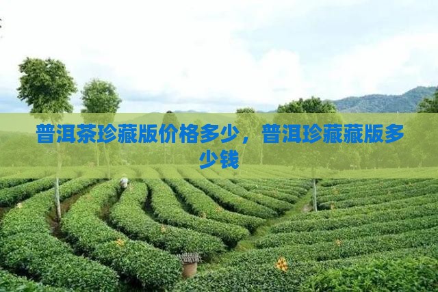 普洱茶珍藏版多少钱
