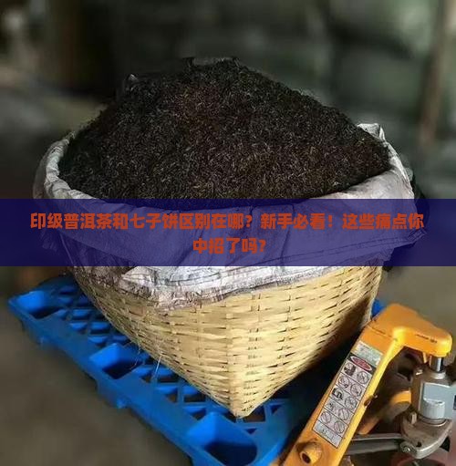 印级普洱茶和七子饼区别