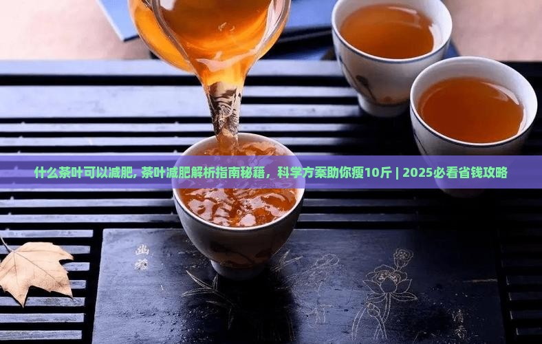 什么茶叶可以减肥