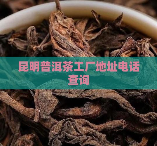 昆明普洱茶工厂地址电话