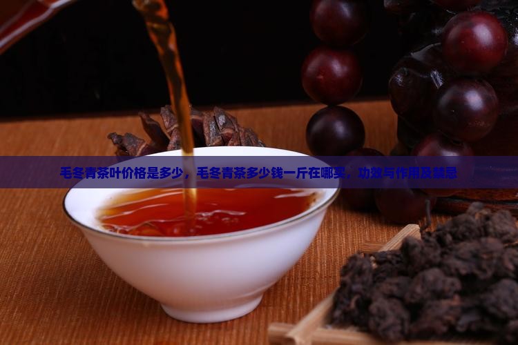 毛冬青茶叶价格是多少