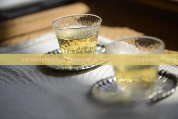 毛冬青茶叶价格是多少