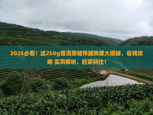 250g普洱茶普洱储存罐