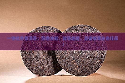 一饼优秀普洱茶