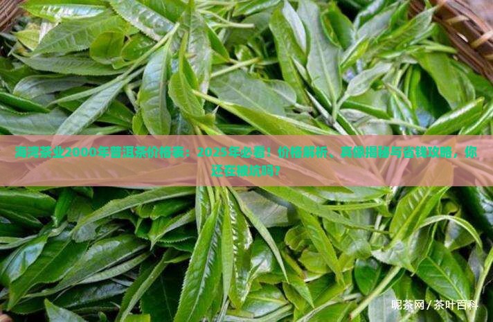 海湾茶业2000年普洱茶价格表