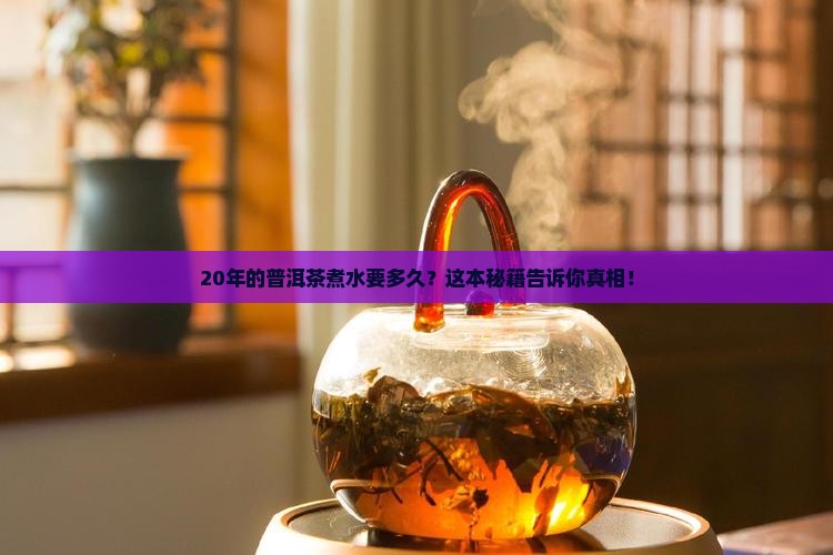 20年的普洱茶煮水多久