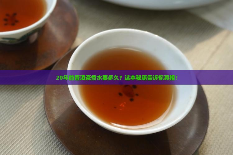 20年的普洱茶煮水多久