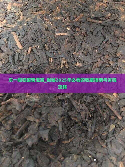 东一阁铁罐普洱茶