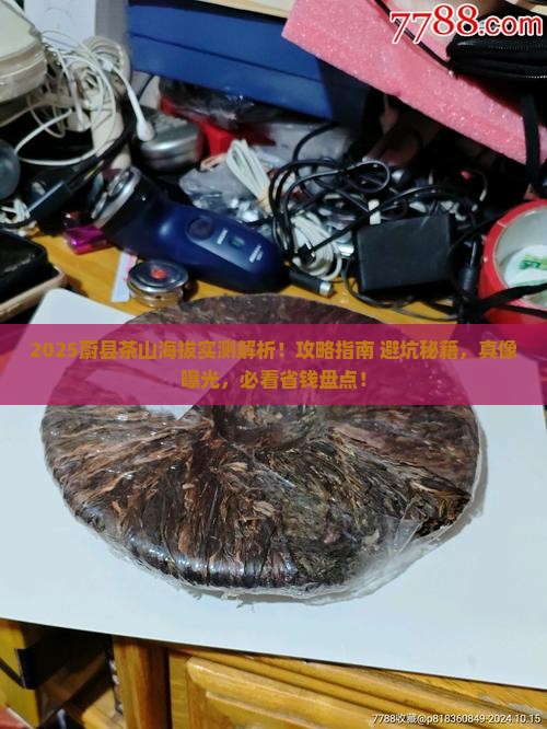 蔚县茶山海拔多少米