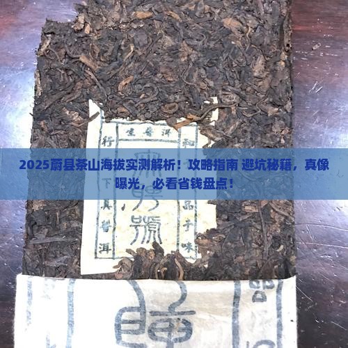 蔚县茶山海拔多少米